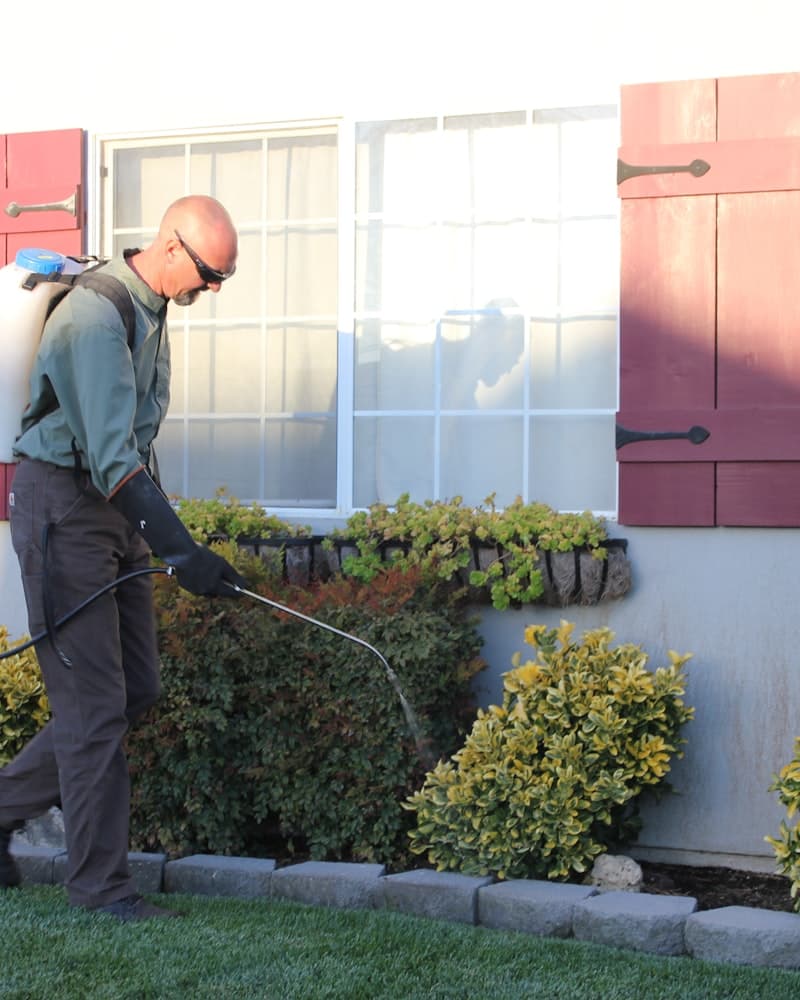 Exterior maintenance work on a home